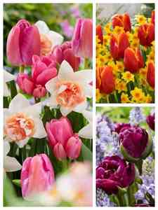 Gemengde bloembollen