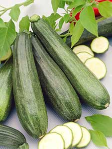 Courgette