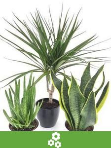 Voordeel combinaties