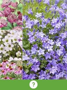 Overige vaste planten