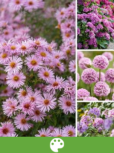 Tuinplanten op kleur