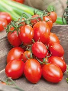 Tomaten