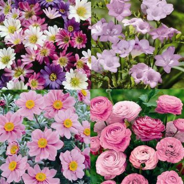 Old Fashioned Favourites x 82