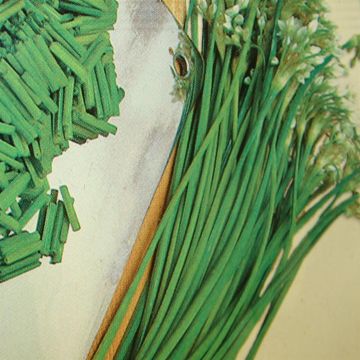 Garlic Chives