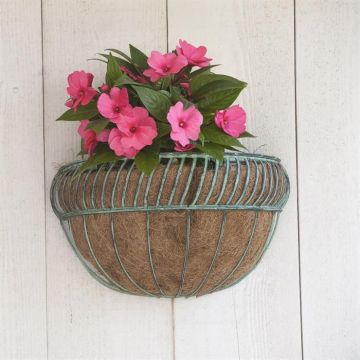 Hanging Basket Harfrond Muurmodel