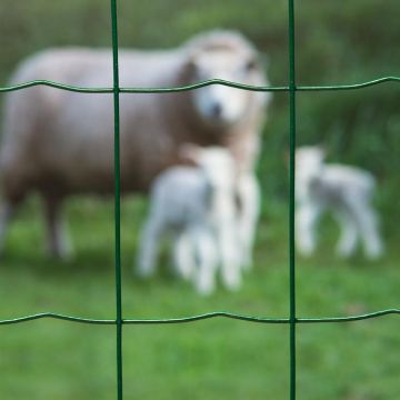 Gaas rechthoekig 100x75mm