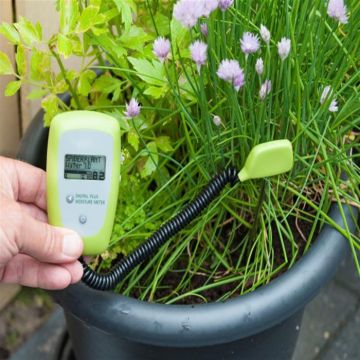 Vochtigheidsmeter digitaal