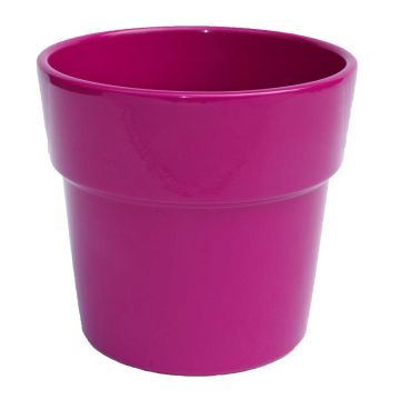 Orchidee Pot Rim Rose 13.5 cm