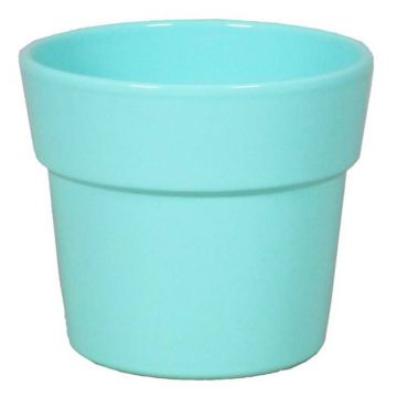 Orchidee Pot Mint Groen