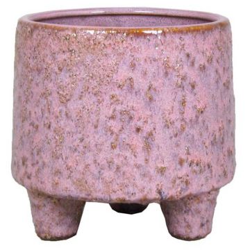 Pot Op Voet Levendig Roze 12 cm