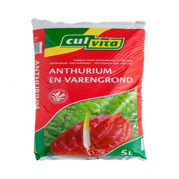 Culvita Anthurium en Varengrond 5 Liter