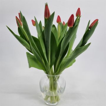 Bouquet Tulip Red