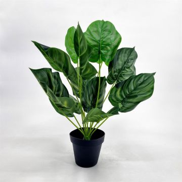 Calathea Orbifolia kunstplant