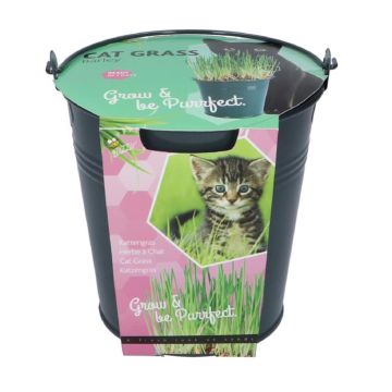 Cat Grass bucket 085365