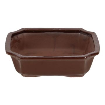 Bonsai pot rechthoekig (XL)