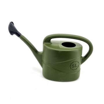 Gieter Olivegroen 5L