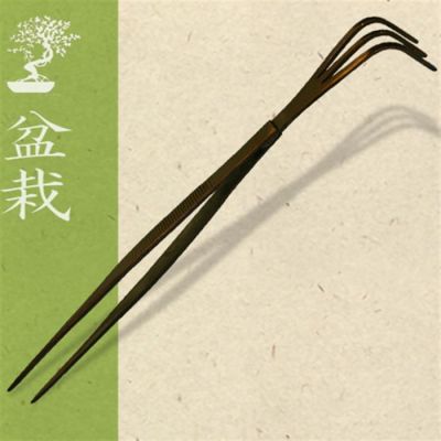 Bonsai hark met pincet