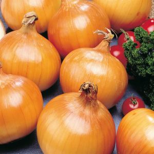 Ui Hyskin (Bewaarui)